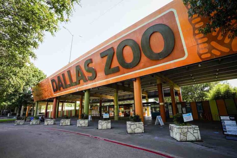 Dallas Zoo