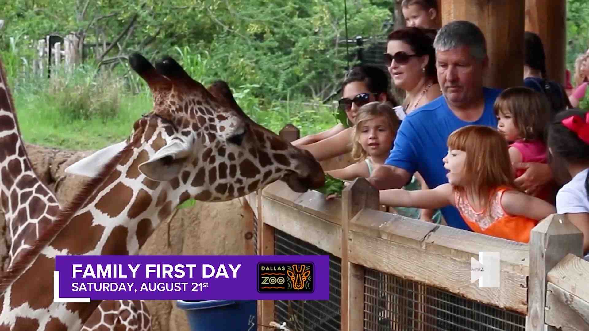 How does the Dallas Zoo rank?