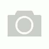 Toyota RAV4 Windshield Replacement & Repair | Dallas-Fort Worth